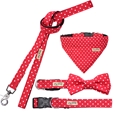 Matching Dog Collar & Lead Set Innovations