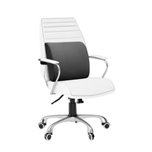 Air Flex Memory Foam Back Support Pillow