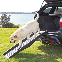 Folding Dog Car Ramp