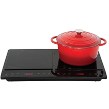 Dual Induction Cooker