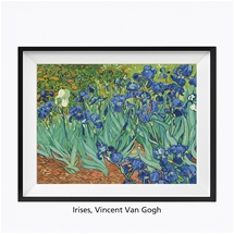Winnie’s Picks Paint by Numbers