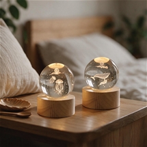 LED Ball Set of 2