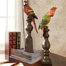 Parrot Paperweight Set