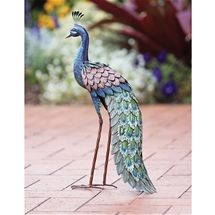 Stunning Metal Peacock