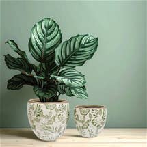 Planters Set of 2