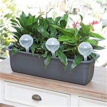 Set of 6 Plant Watering Globes
