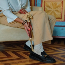 Shoehorn Horse