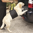 Dog Lifting Harness Innovations