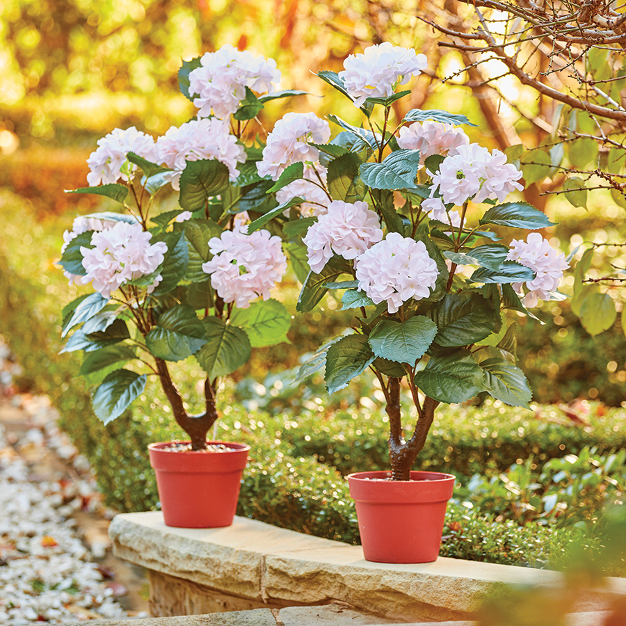 Hydrangea Topiary Solar Tree Innovations