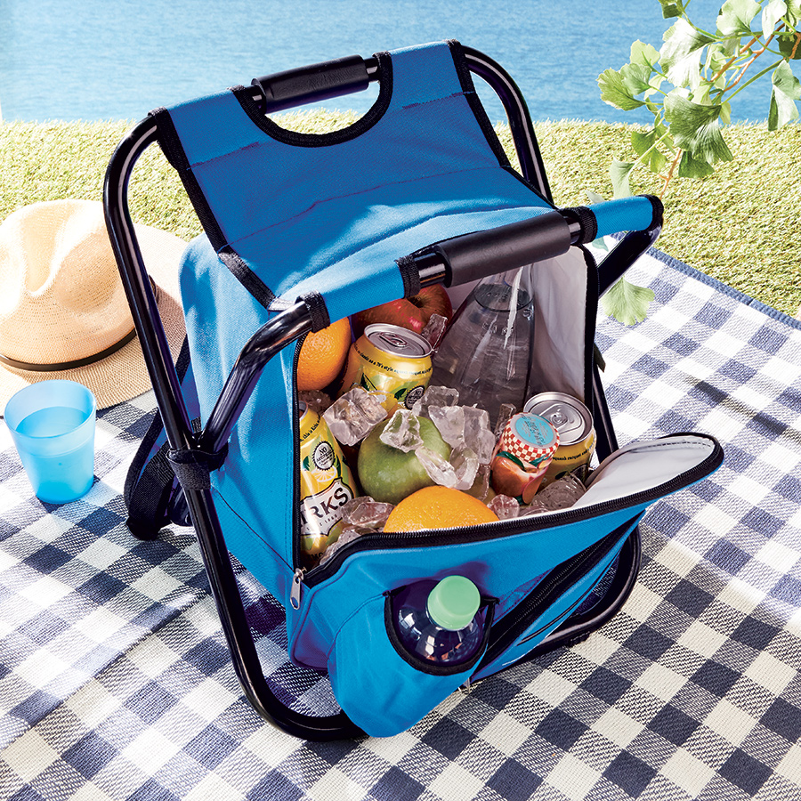Portable Picnic Cooler and Stool Innovations