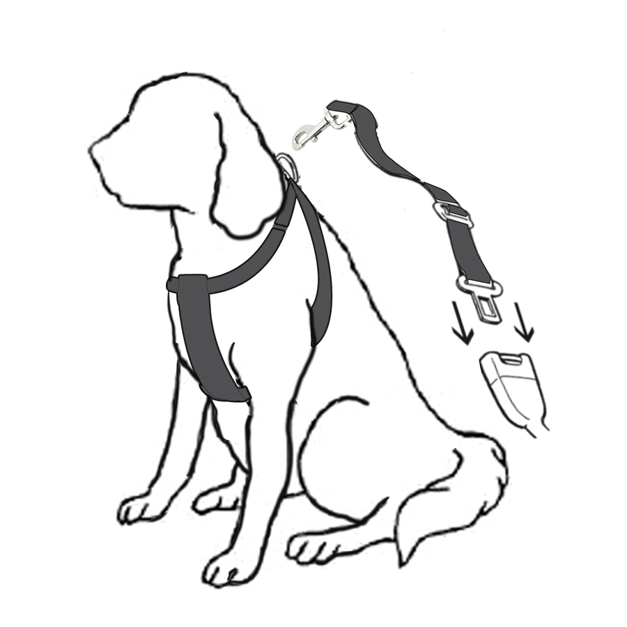 Dog Car Harness Innovations