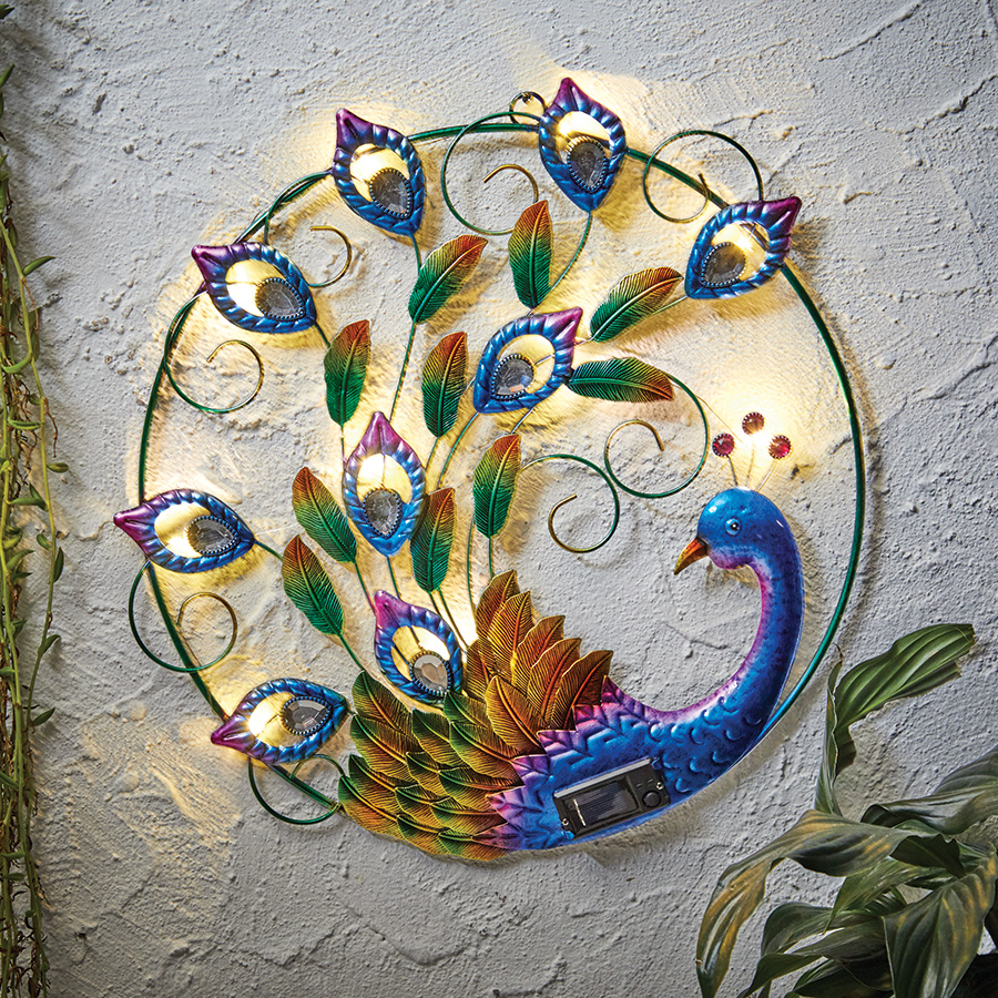 Illuminated Proud Peacock Innovations
