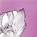 Pansy